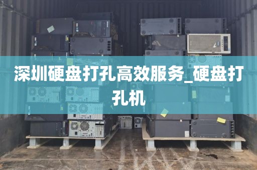 深圳硬盘打孔高效服务_硬盘打孔机