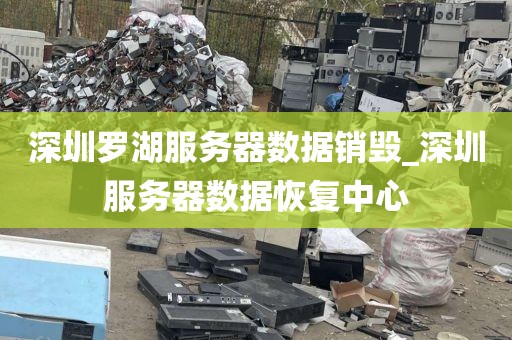 深圳罗湖服务器数据销毁_深圳服务器数据恢复中心